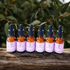 all six bush medicine remedies in 25ml amber glass bottles with dropper sitting on a log in Australian Eucalyptus bush