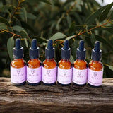 all six bush medicine remedies in 25ml amber glass bottles with dropper sitting on a log in Australian Eucalyptus bush