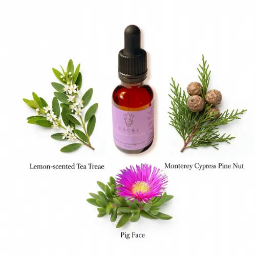 Excel Quantum Remedy