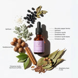 Renew Quantum Remedy