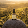 Accelerate Quantum Remedy - Leah May Healing