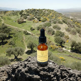 Concentrate Quantum Remedy - Leah May Healing