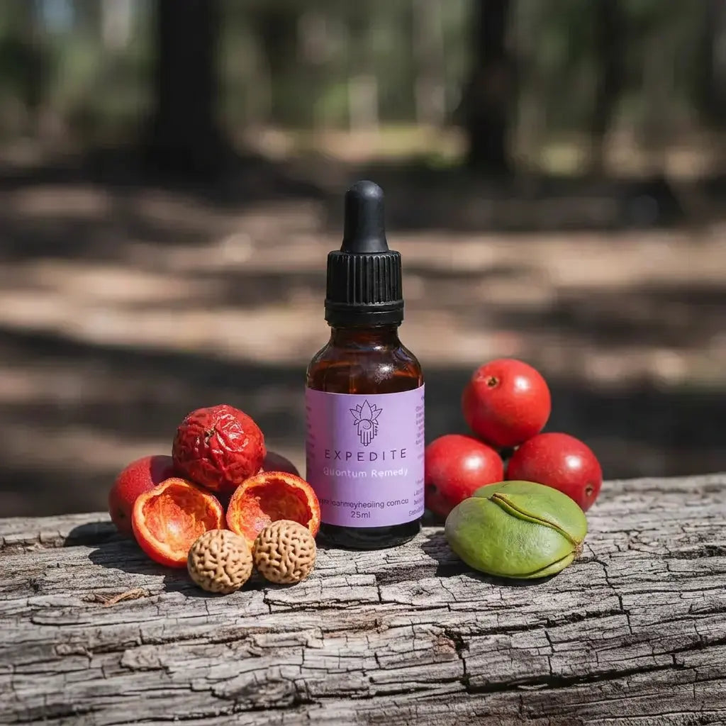 Expedite Quantum Remedy - Leah May Healing