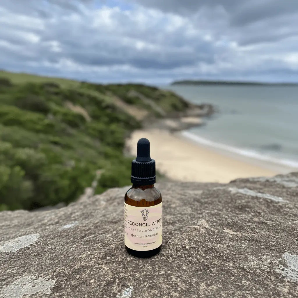 Reconciliation Quantum Remedy - Leah May Healing