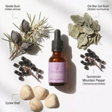 Release Quantum Remedy - Leah May Healing