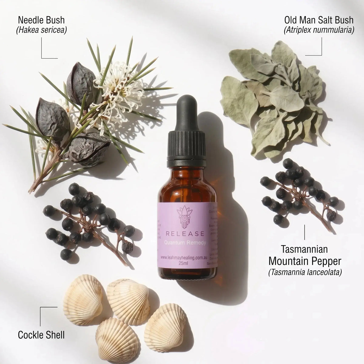 Release Quantum Remedy - Leah May Healing