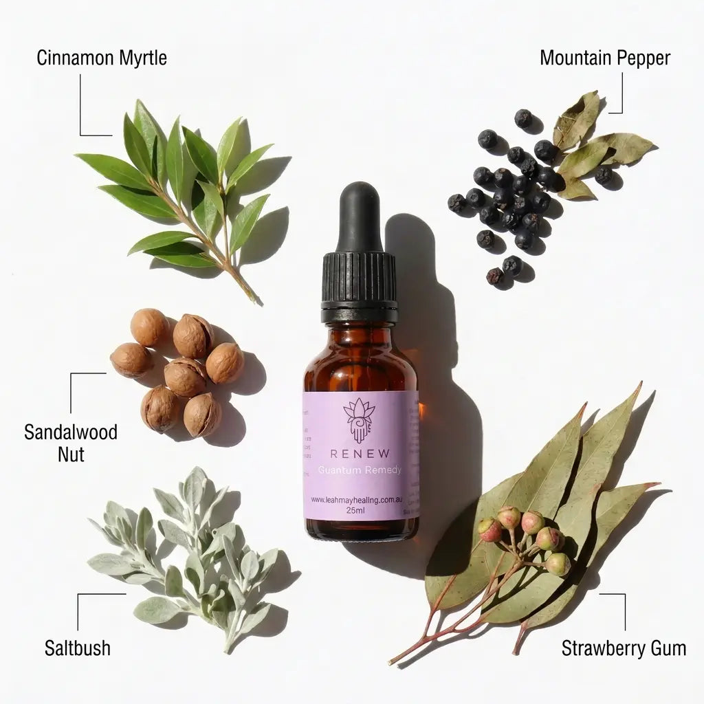 Renew Quantum Remedy - Leah May Healing