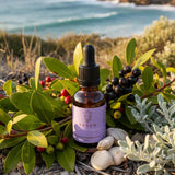 Renew Quantum Remedy 25ml amber bottle with black dropper, with saltbush and mountain pepper in bush with ocean in the background