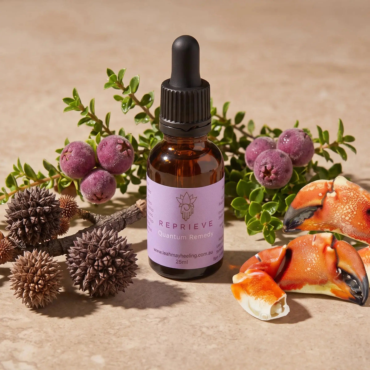 Reprieve Quantum Remedy - Leah May Healing