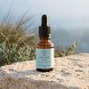 Sanctuary - Winter Quantum Remedy - Leah May Healing