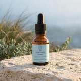 Sanctuary - Winter Quantum Remedy - Leah May Healing