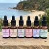 The Coastal Walk Full Series, Set of 6 - Leah May Healing