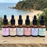 The Coastal Walk Full Series, Set of 6 - Leah May Healing