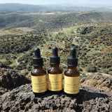 The Evolution Set, Concentrate, Accelerate & Consolidate - Leah May Healing