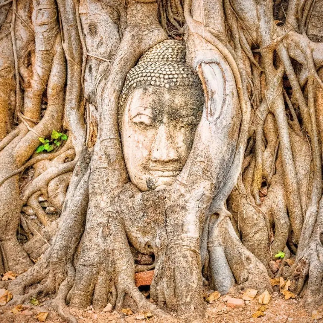 Finding Enlightenment: Finding the Light Within - Leah May Healing
