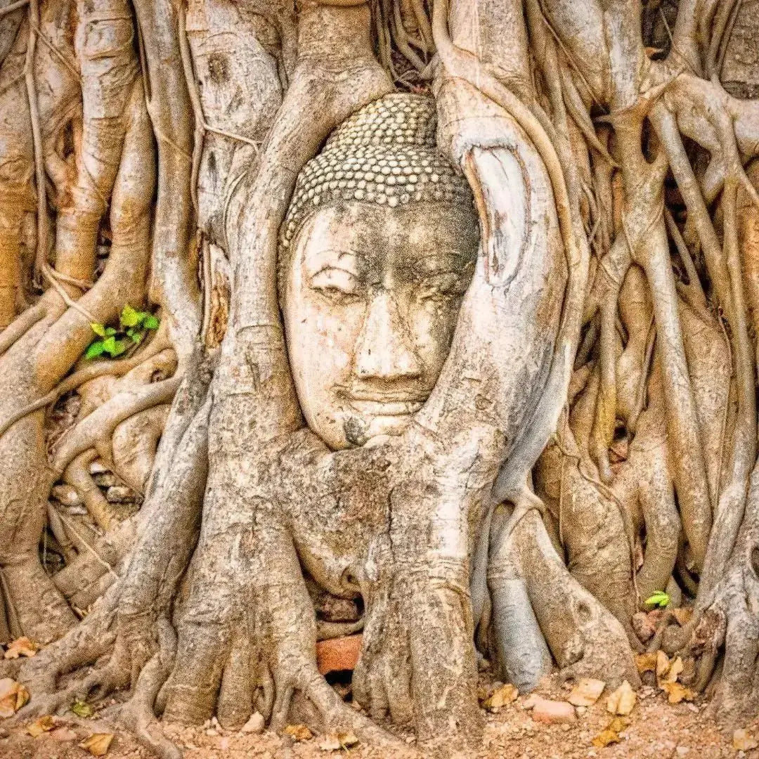 Finding Enlightenment: Finding the Light Within - Leah May Healing