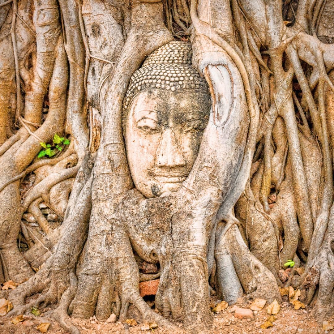 Finding the light within - Leah May Healing