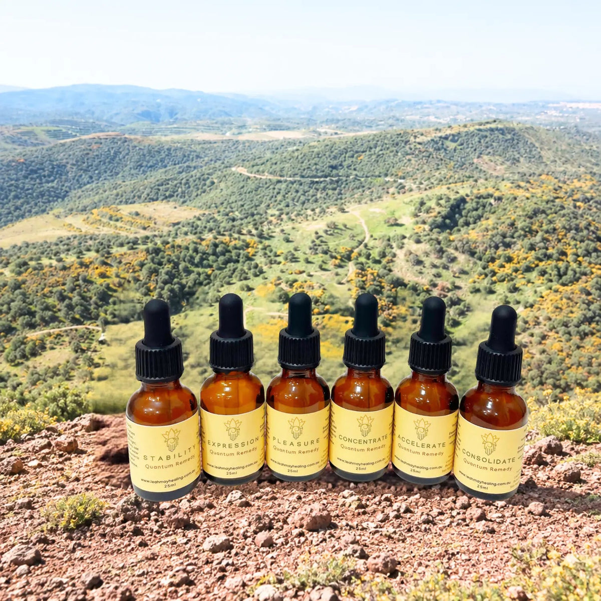 Emotion Series Quantum Remedies - Leah May Healing