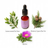 Excel Quantum Remedy