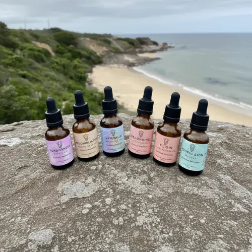 The Coastal Walk Full Series, Set of 6