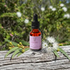 Renew Quantum remedy in a 25ml Amber bottle with black dropper on log with Strawberry Gum flower and leaf with bush in the background