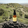 Concentrate Quantum Remedy - Leah May Healing
