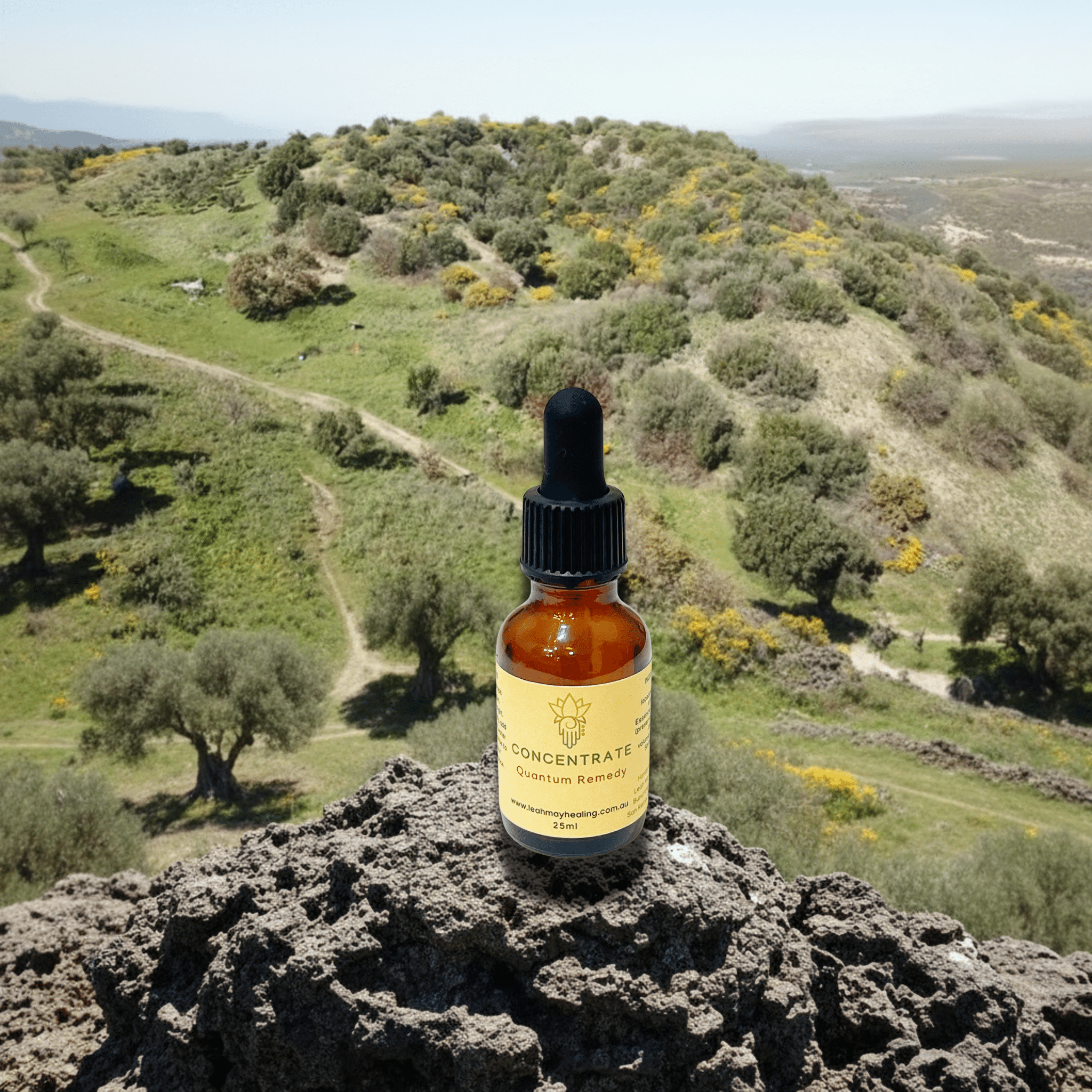 Concentrate Quantum Remedy - Leah May Healing