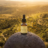 Concentrate Quantum Remedy - Leah May Healing