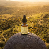 Concentrate Quantum Remedy - Leah May Healing
