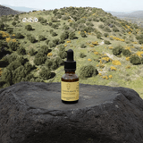 Consolidate Quantum Remedy - Leah May Healing