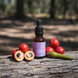 Expedite quantum remedy 25ml amber bottle with black dropper on a log with quandong fruit and mangrove seed pod 
