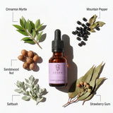 Renew Quantum Remedy - Leah May Healing