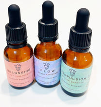 Load image into Gallery viewer, Set of 3 Quantum Remedies - Belonging, Flow, Propulsion - Leah May Healing
