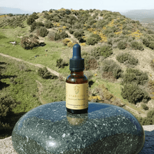 Load image into Gallery viewer, Stability Quantum Remedy - Leah May Healing
