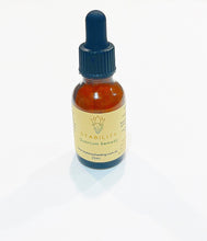 Load image into Gallery viewer, Stability Quantum Remedy - Leah May Healing
