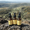 The Evolution Set, Concentrate, Accelerate & Consolidate - Leah May Healing