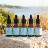 The Sense of Self Full Series, Set of 5 - Leah May Healing